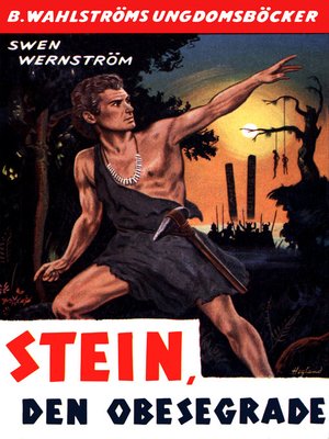 cover image of Stein, den obesegrade--berättelse från yngre stenåldern